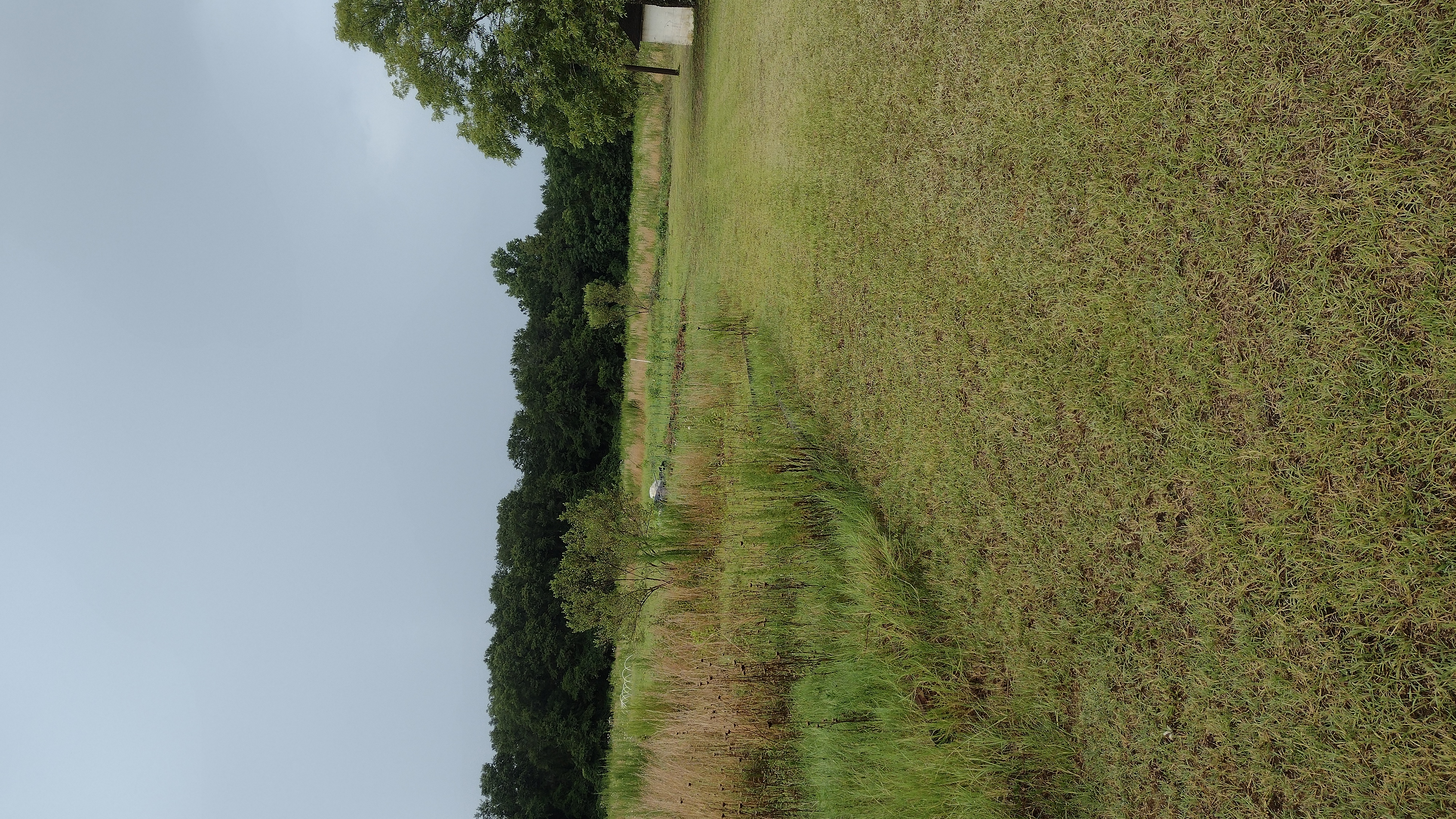 Property pathway development