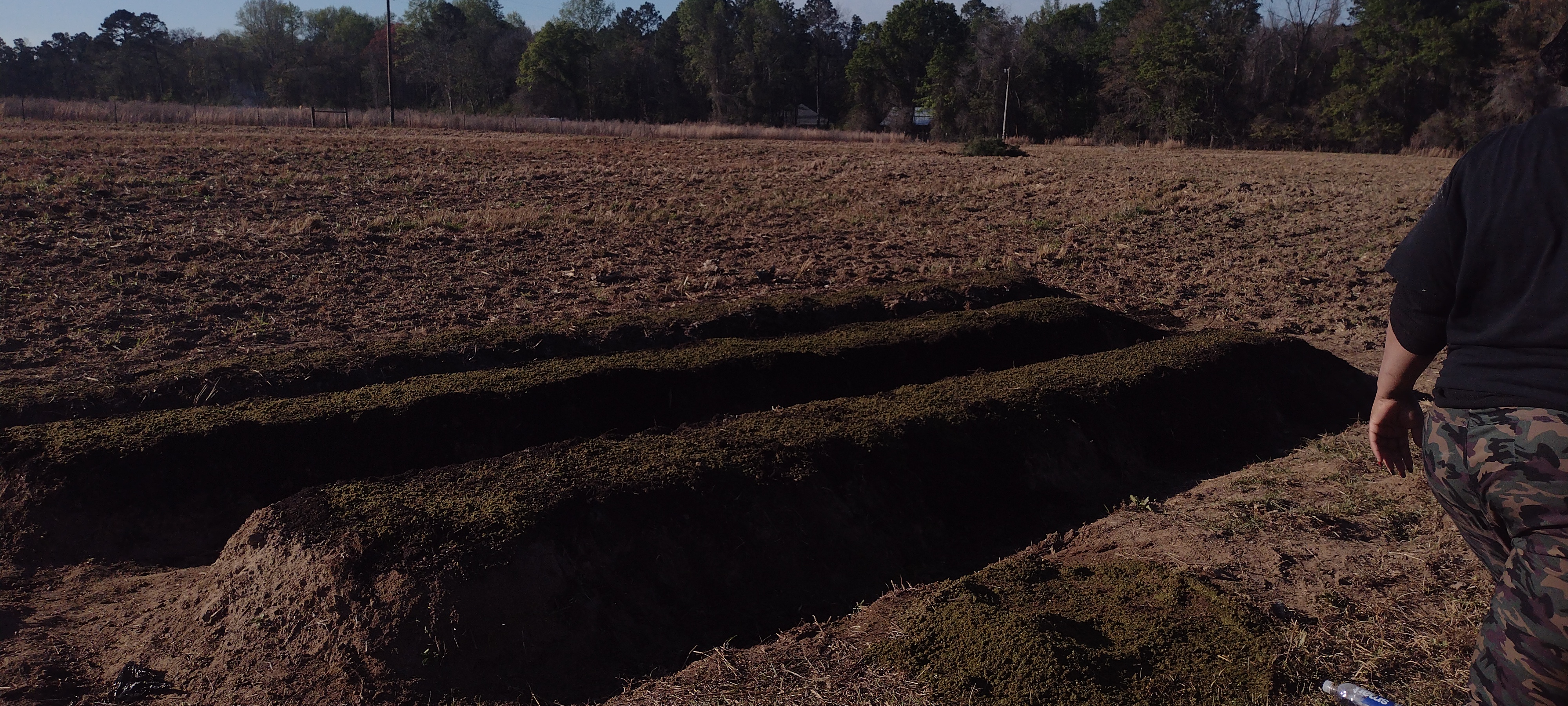 Planting beds prepared