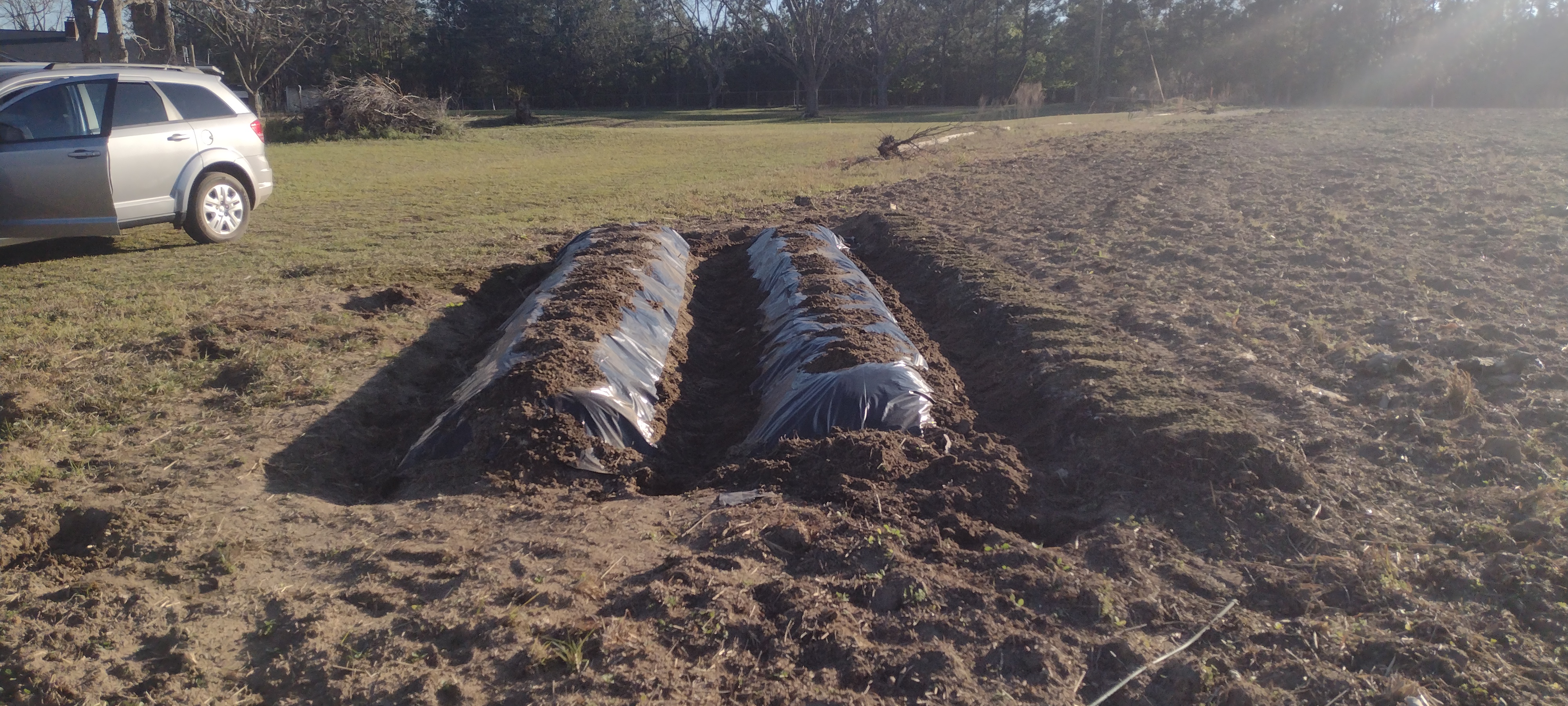 Covered growing rows